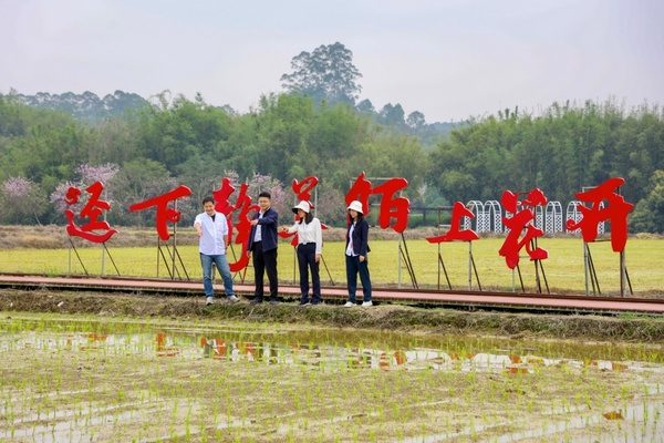 图片4.jpg